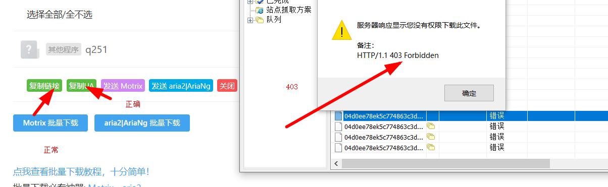 今天中午开始使用不限速功能解析链接，IDM显示403错误