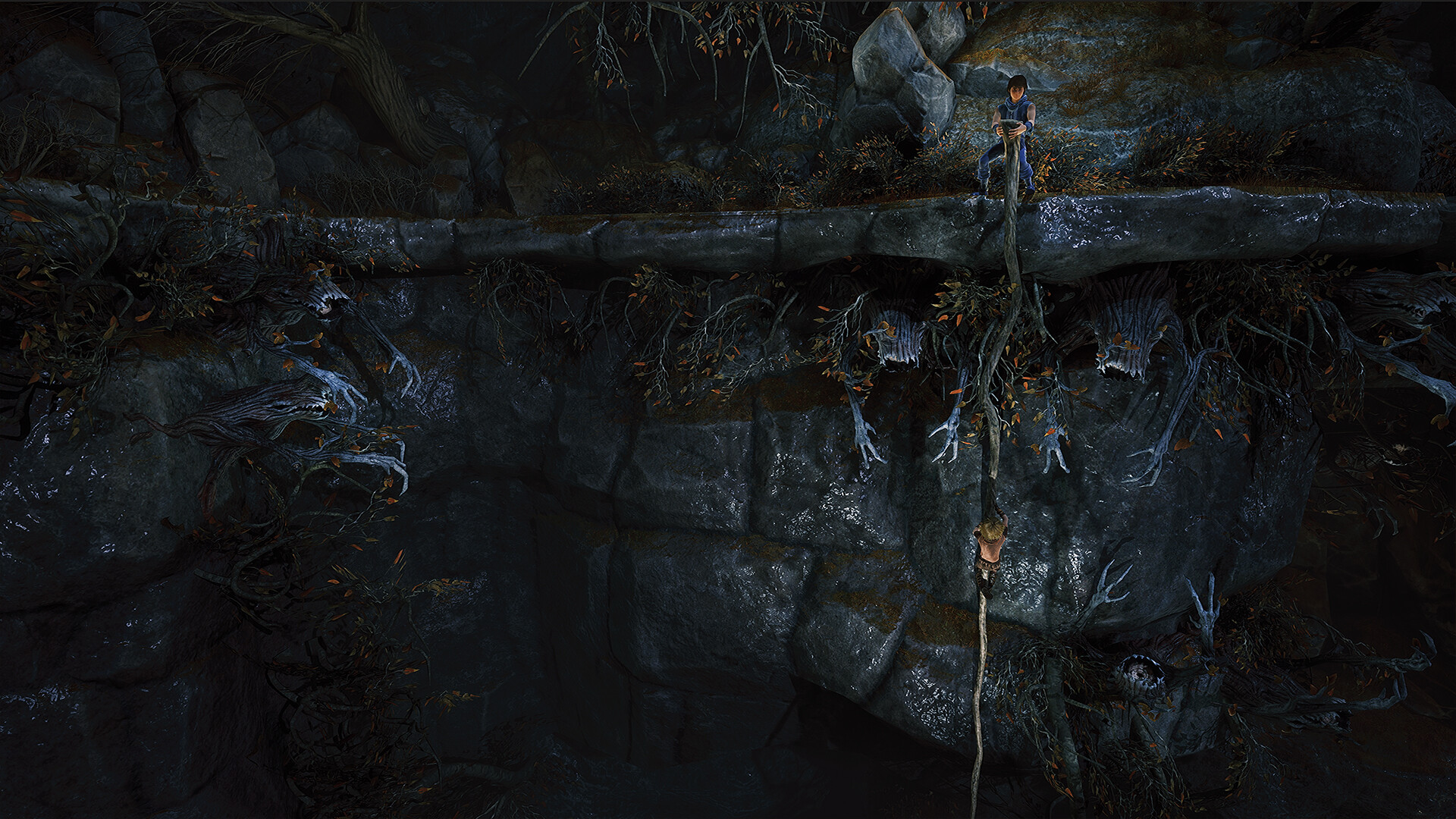 兄弟：双子传说 重置版/Brothers: A Tale of Two Sons Remak