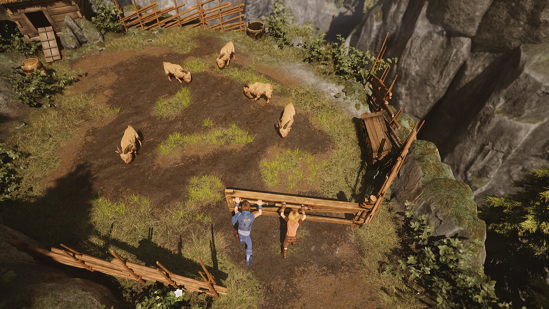 兄弟：双子传说 重置版/Brothers: A Tale of Two Sons Remak