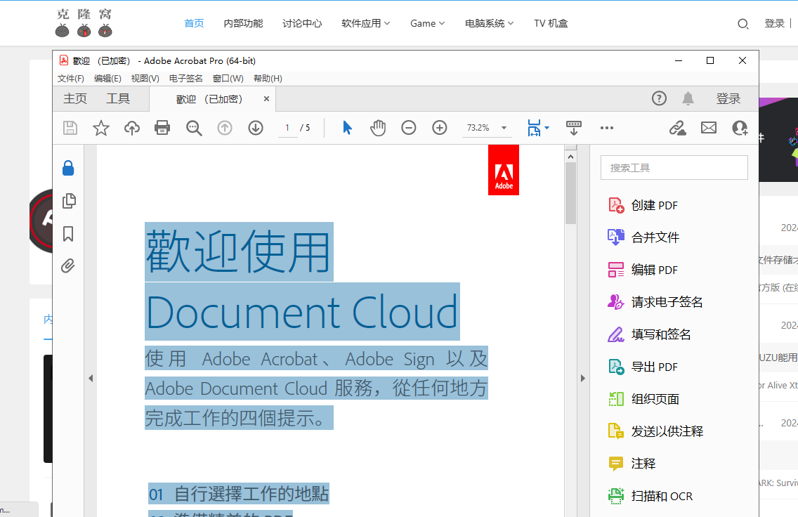 Adobe Acrobat PRO DC v2024.004.20220 解锁版 (PDF编辑器)