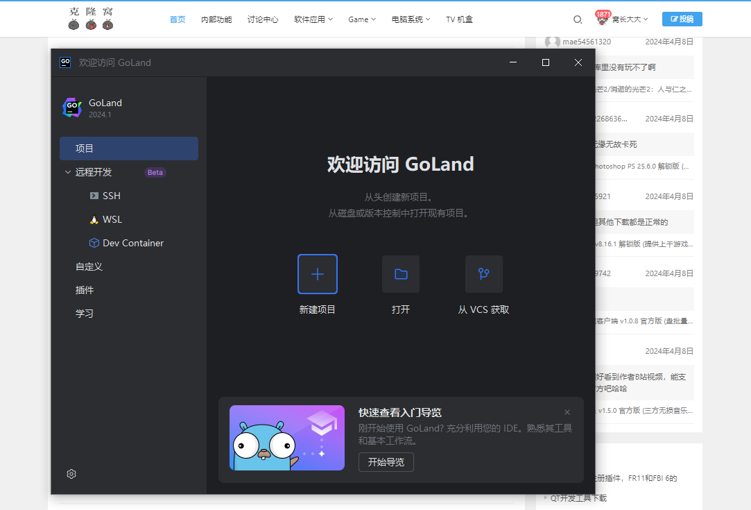 JetBrains GoLand v2024.1 激活版 (Go语言集成开发IDE)