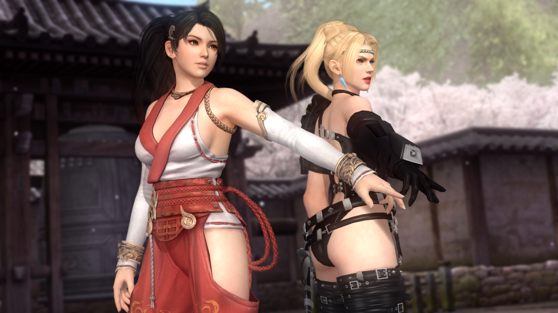 死或生5：最后一战/DEAD OR ALIVE 5 Last Round: Core Fighters