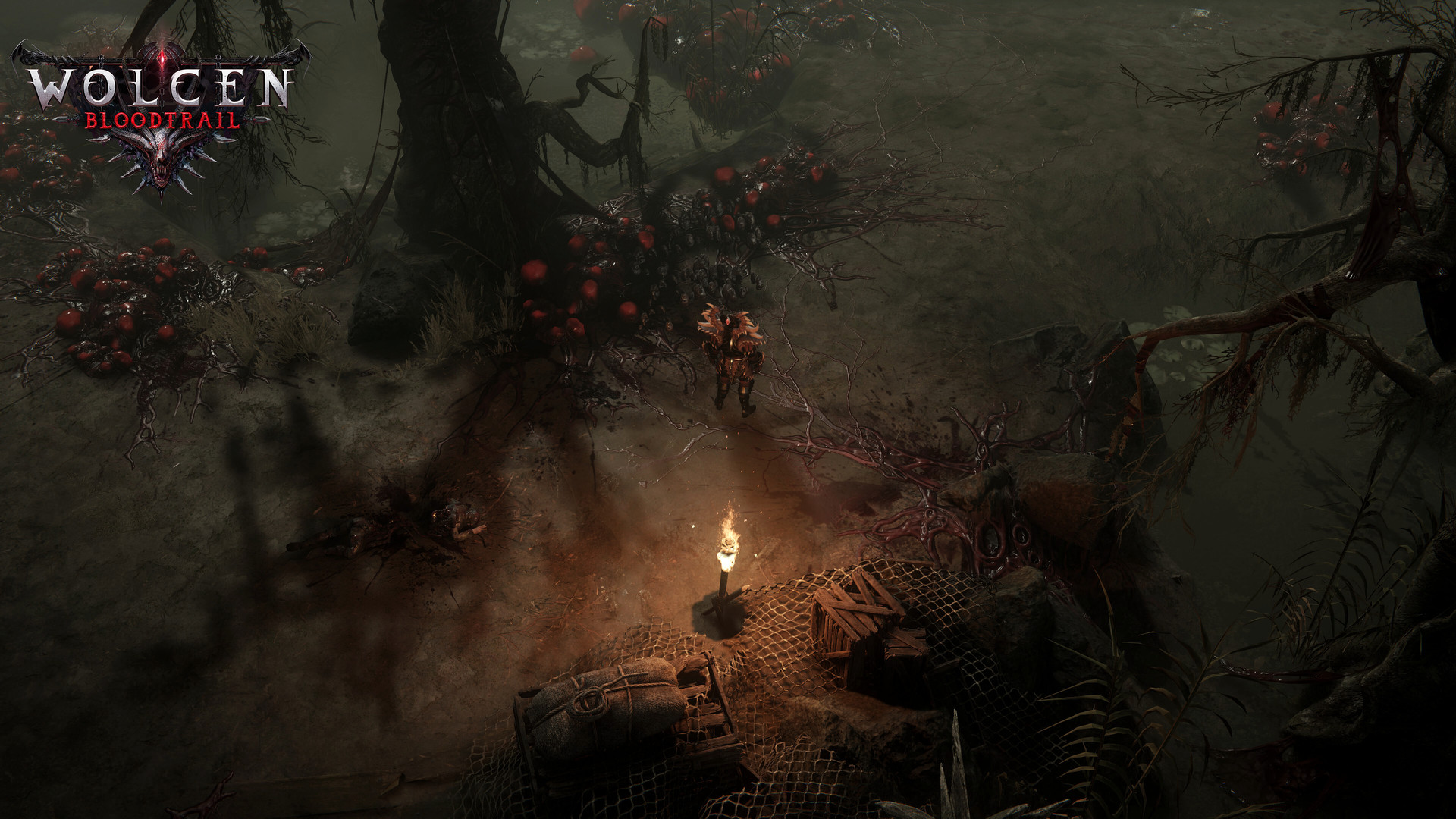 沃尔森:破坏领主/Wolcen: Lords of Mayhem