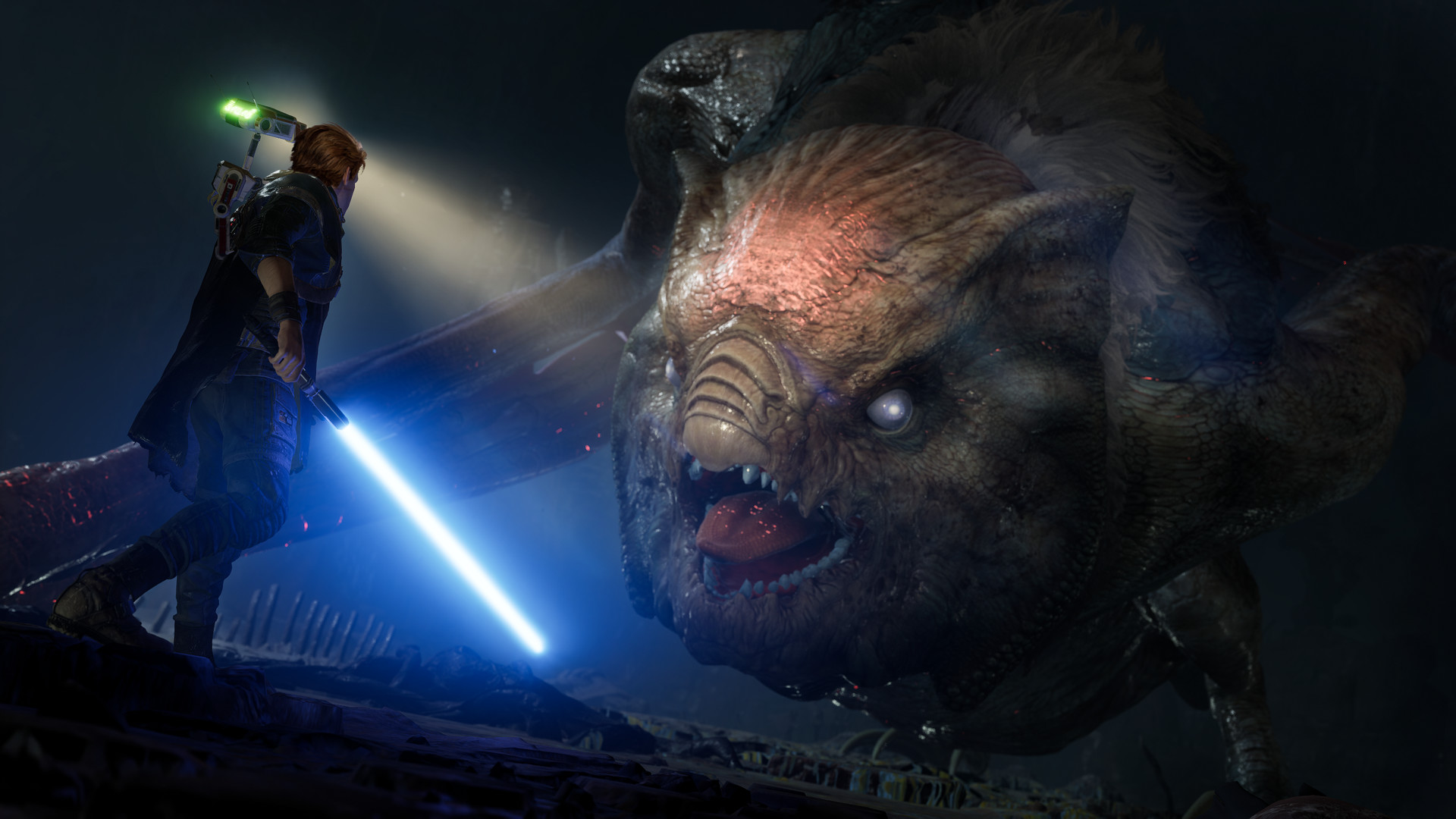 星球大战 绝地：陨落的武士团™ 豪华版/ STAR WARS Jedi: Fallen Order