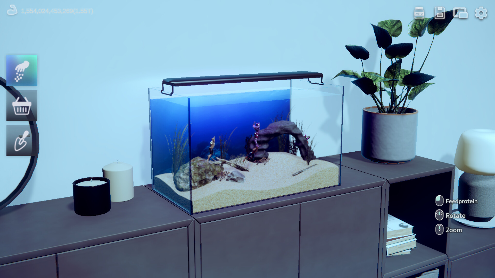 壮士水族馆/Muscle Aquarium Simulator