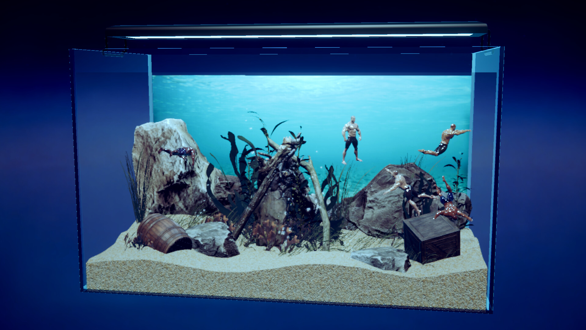 壮士水族馆/Muscle Aquarium Simulator