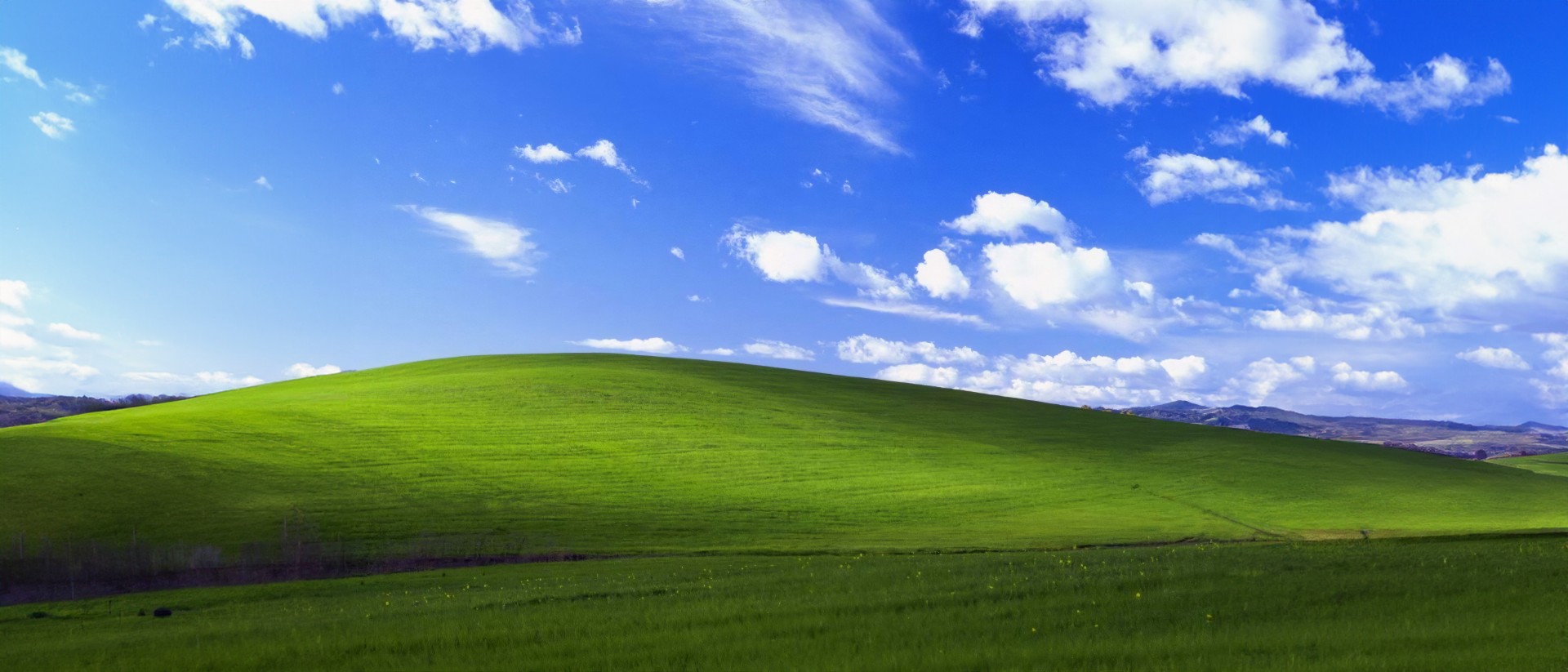 windows xp要升级吗 翻译功能缺失，软件不支持