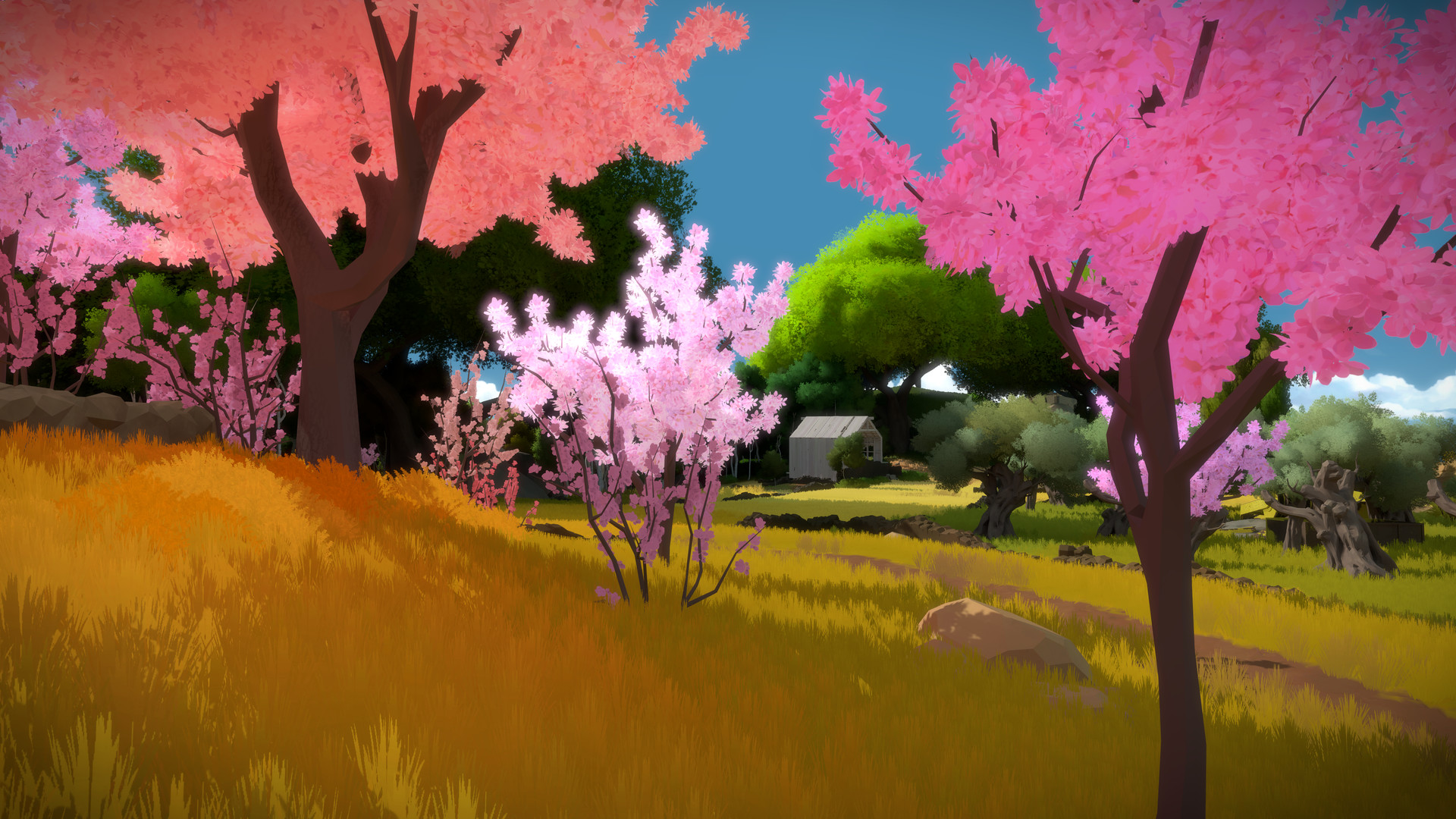 见证者/The Witness