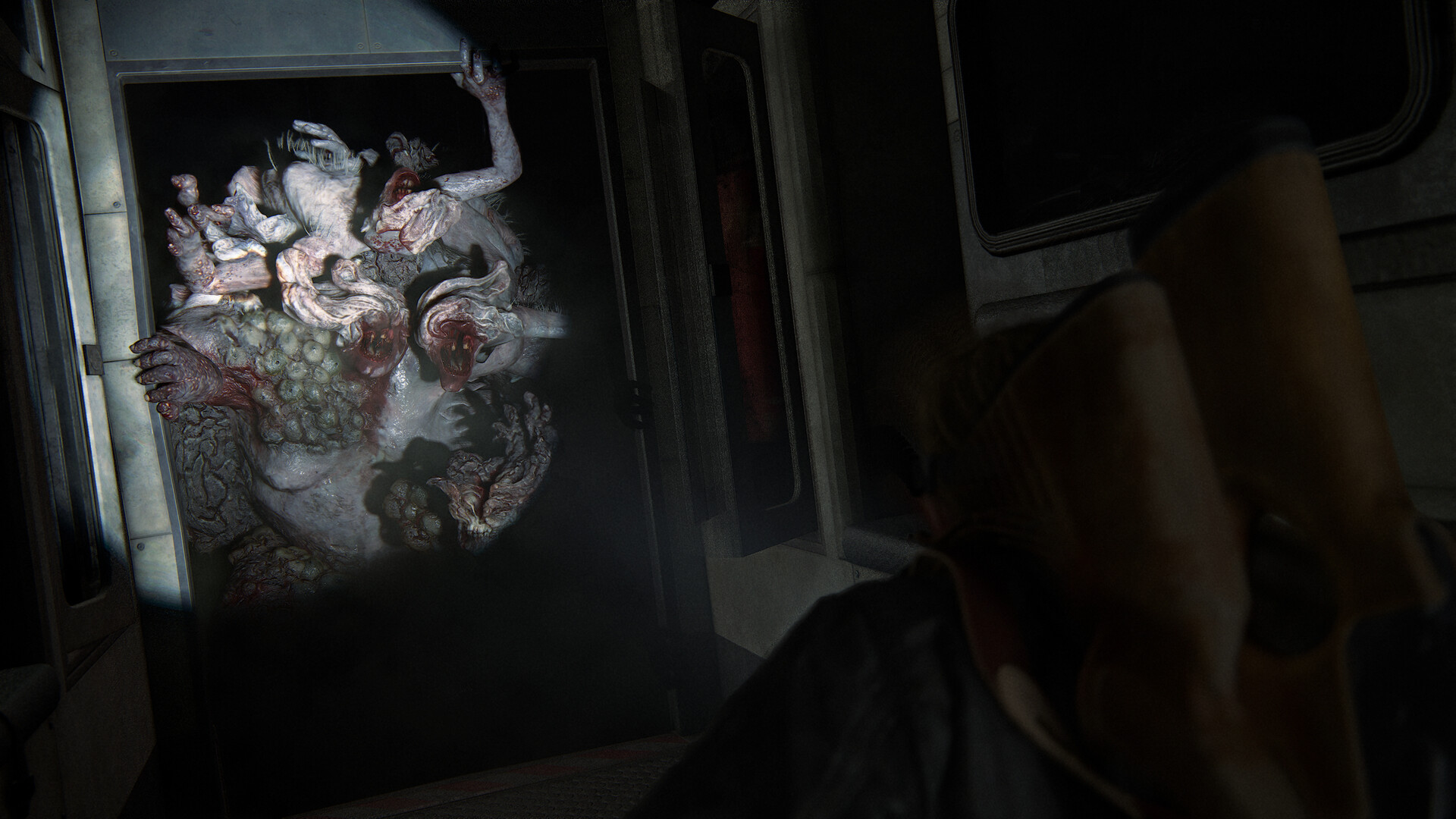 美国末日：第二部 – 重制版/The Last of Us™ Part II Remastered