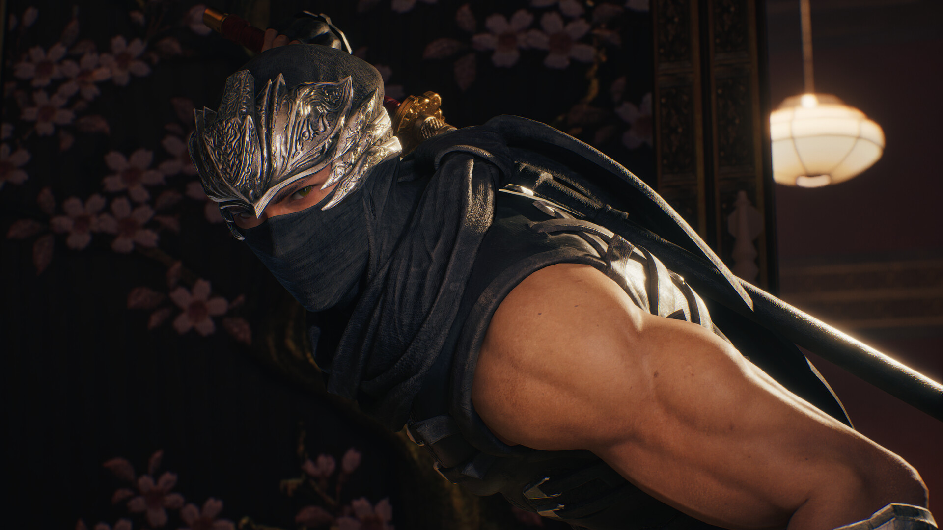忍者龙剑传2 黑之章/NINJA GAIDEN 2 Black