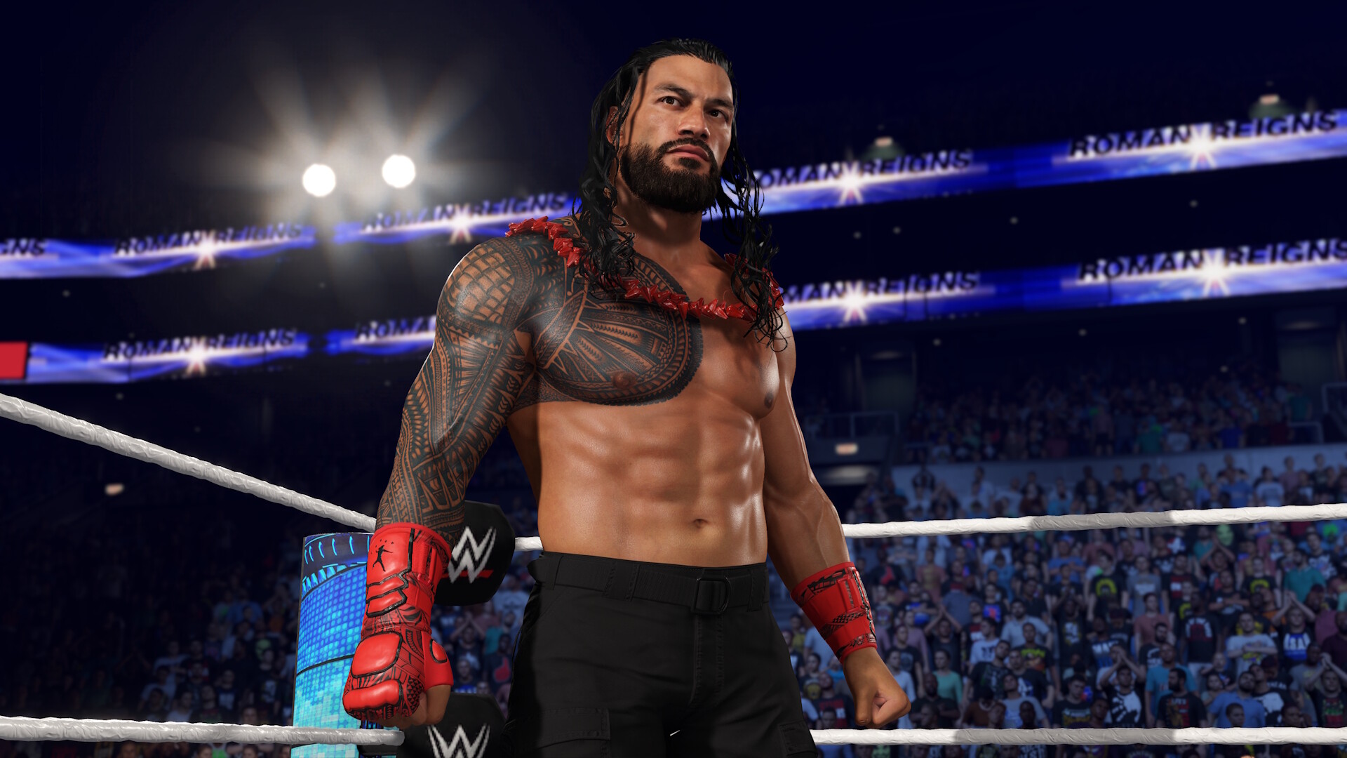 美国职业摔角联盟 2K25：血亲家族版/WWE 2K25 The Bloodline Edition - The Bloodline Edition