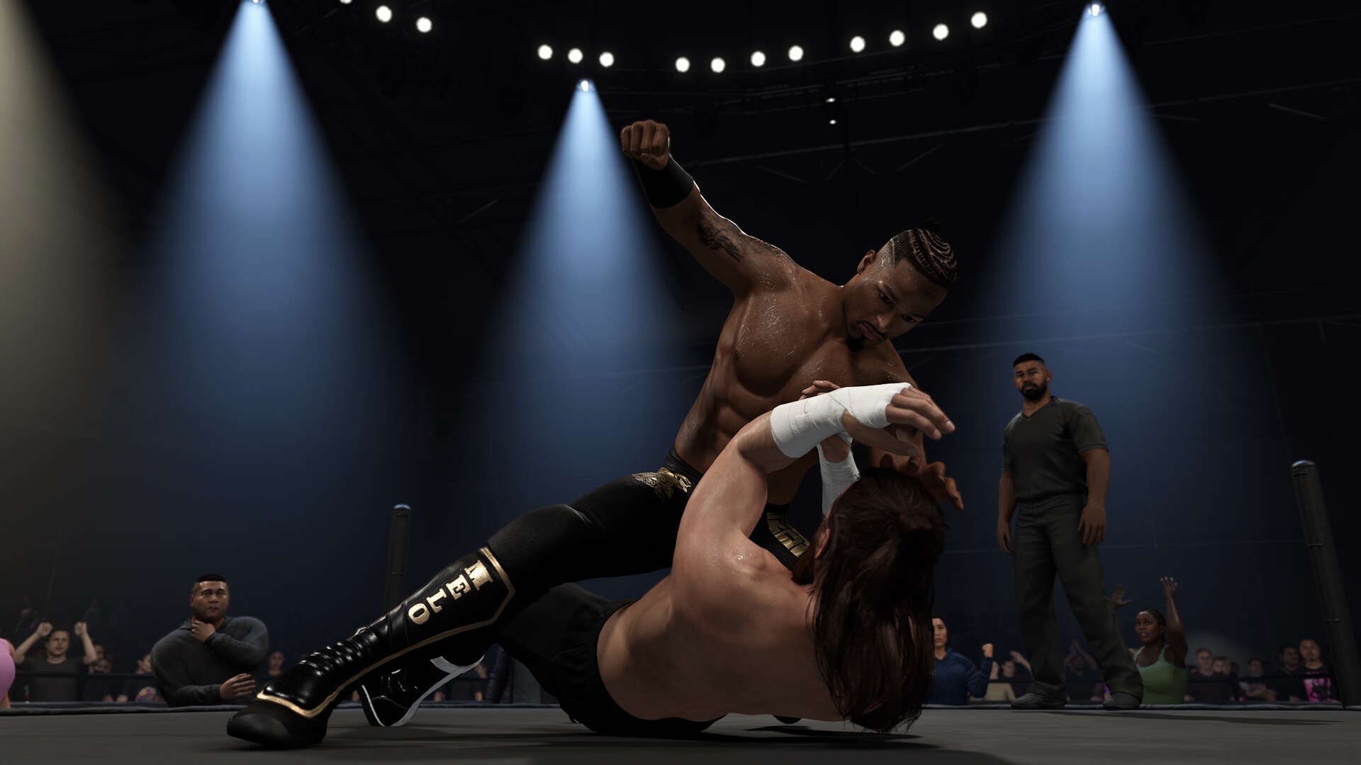美国职业摔角联盟 2K25：血亲家族版/WWE 2K25 The Bloodline Edition - The Bloodline Edition