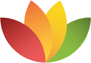 FreeOffice v2024 1222 官方版 (Office办公套件)