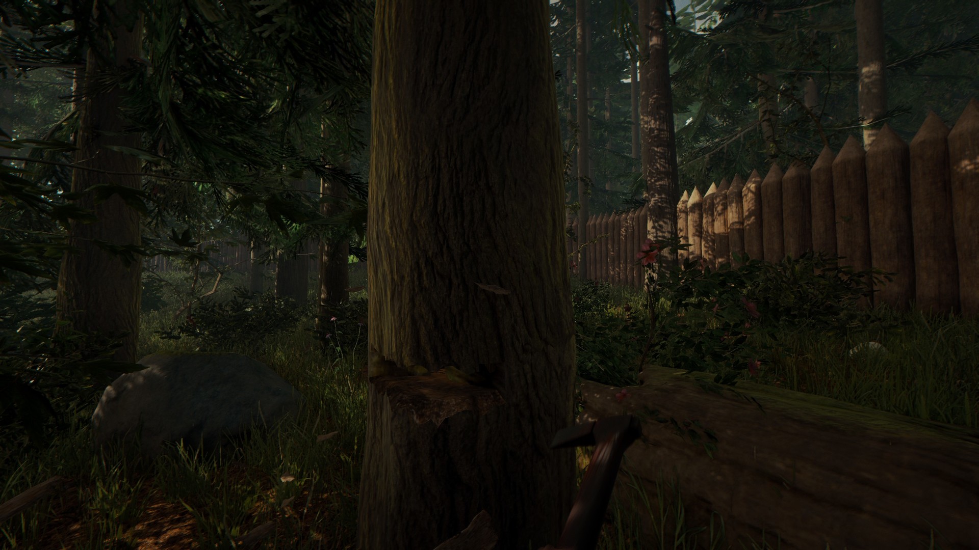 森林/The Forest