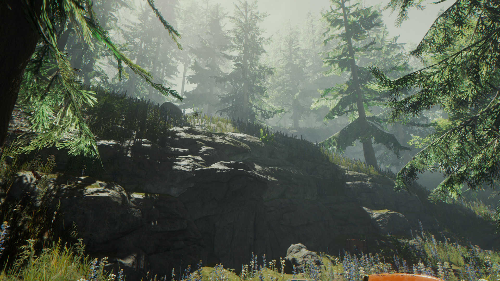 森林/The Forest