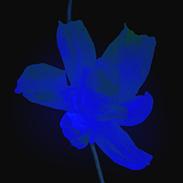 地球任务/Routine (月球求生1980)