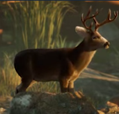 模拟国家公园：护林员之路/Ranger’s Path: National Park Simulator (巡山护林，万物共生)