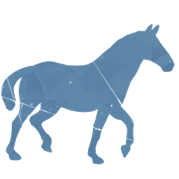 风马传说/The Legend of Khiimori (信使与马，征服草原)