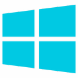 Activation Program (系统激活工具)