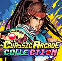 IGS经典街机游戏合集/IGS Classic Arcade Collection (经典街机合集重温童年)