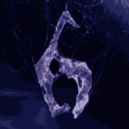 生化危机6/Resident Evil 6 (生化危机:活下来)